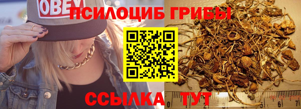 Галлюциногенные грибы Psilocybine cubensis  что такое   Учалы  Вход с VPN 